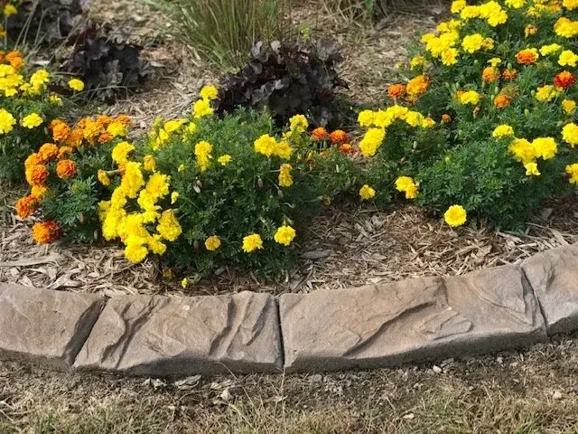 Natural Stone stamped concrete curbing pattern